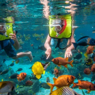 Snorkelers swimming among bright tropical fish